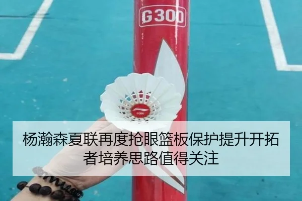 杨瀚森夏联再度抢眼篮板保护提升开拓者培养思路值得关注 | leyu